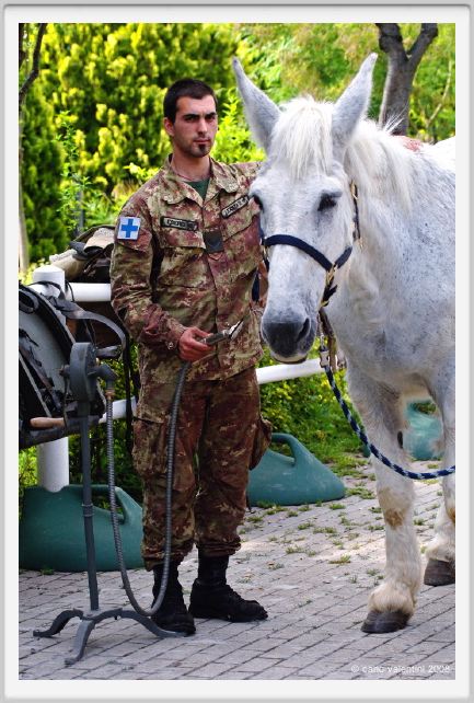 cmv_grosseto495
