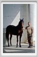 cmv_grosseto501