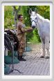 cmv_grosseto491