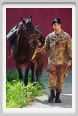 cmv_grosseto519