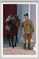 cmv_grosseto525