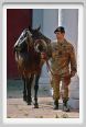 cmv_grosseto527