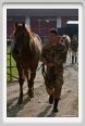 cmv_grosseto537