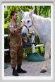 cmv_grosseto493