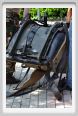 cmv_grosseto498