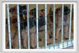 cmv_grosseto547