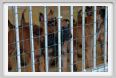 cmv_grosseto548
