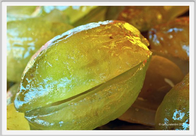canditi_cedro004