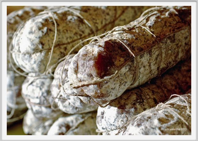 salame006