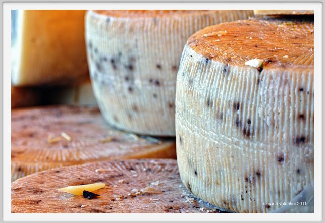 pecorino_sicilia001