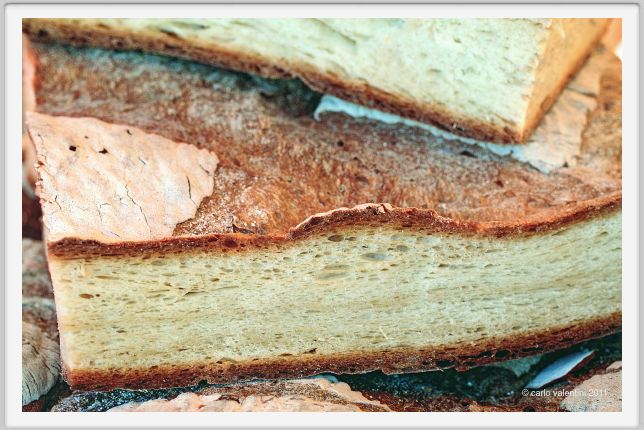 pane014