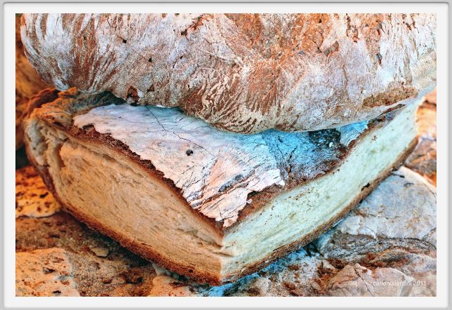 pane015