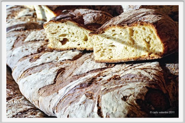 pane016