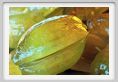 canditi_cedro004