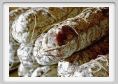 salame006