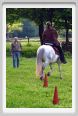 cornacchino0263