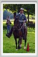 cornacchino0266
