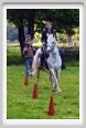 cornacchino0268