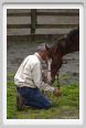cornacchino0403