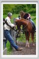 cornacchino0318