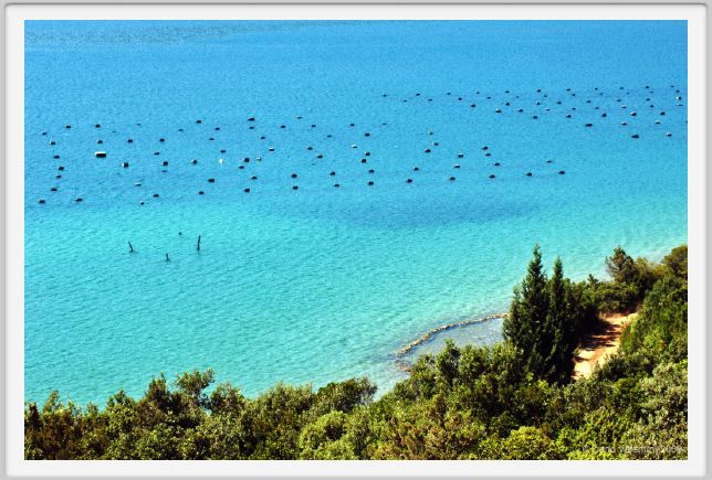 hr_mali_ston011