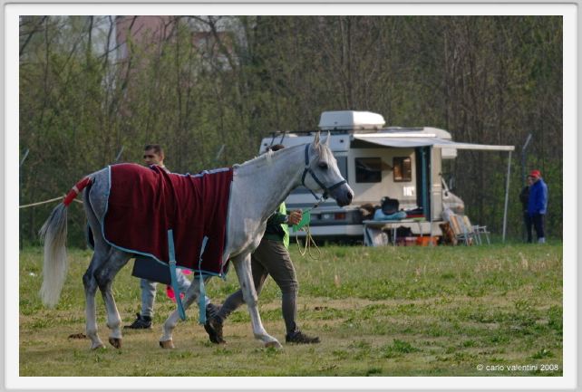 dego009