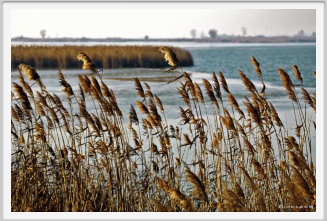 ravenna_valli_comacchio001