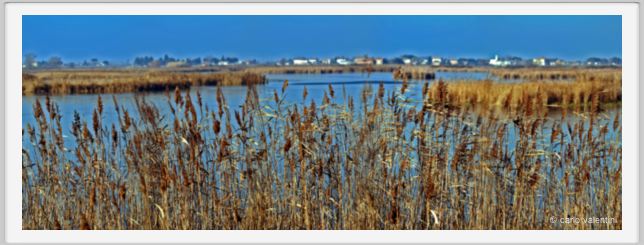 ravenna_valli_comacchio002
