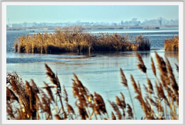 ravenna_valli_comacchio003