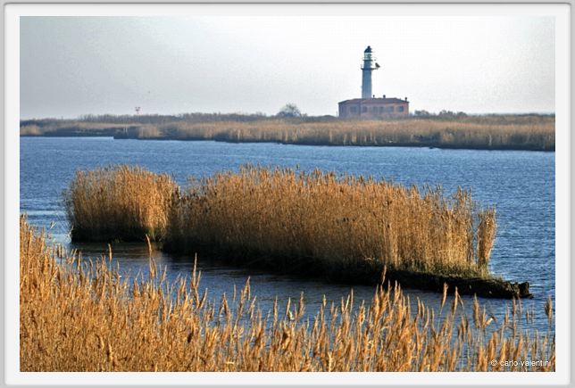 delta_po_gnocca05