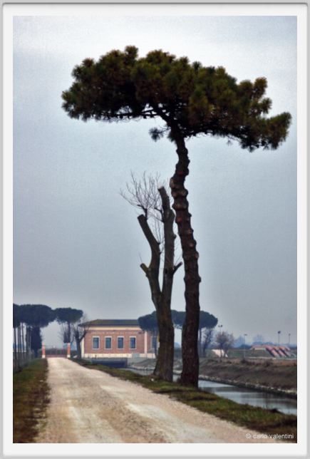 ravenna_lido_di_classe003