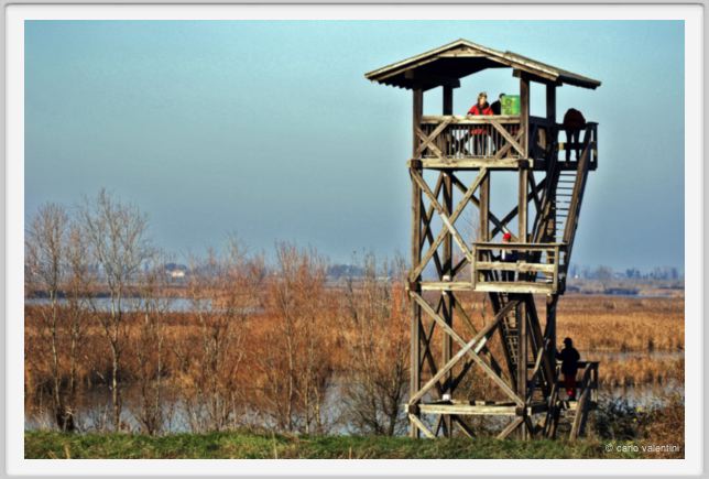 ravenna_marina_romea002