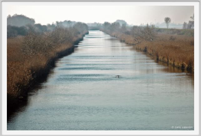 ravenna_marina_romea004