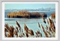 ravenna_valli_comacchio003