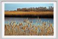 ravenna_valli_comacchio007