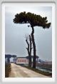 ravenna_lido_di_classe003