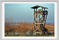 ravenna_marina_romea002