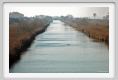 ravenna_marina_romea004