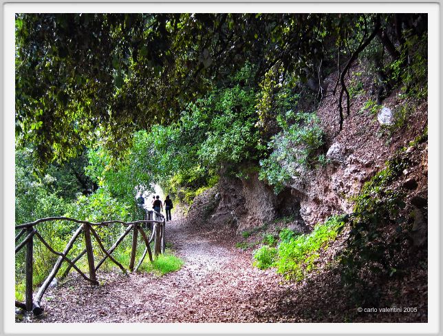san_pietro_valle115