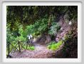 san_pietro_valle115