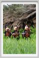 santa_severa249