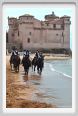 santa_severa044