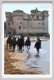 santa_severa032