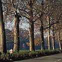 cascine222_03