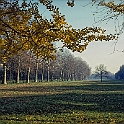 cascine223_20