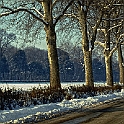 cascine232_05