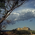 certosa1070_44