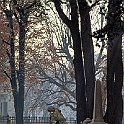 cimitero_inglesi763_14