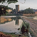 firenze86_531