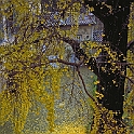 giardino_torrigiani1034_43